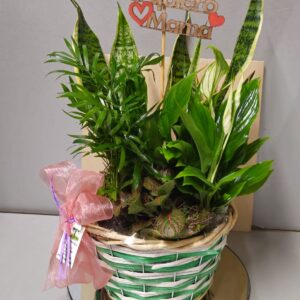 Cesta de mimbre verde