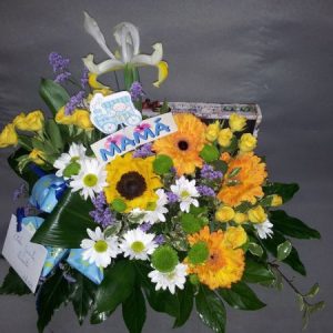 Centro día de la madre