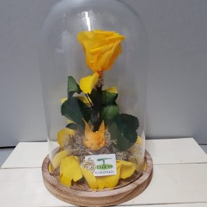 Urna con rosa preservada (Color a elegir)