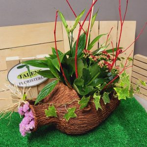 Ánfora estilo tronco