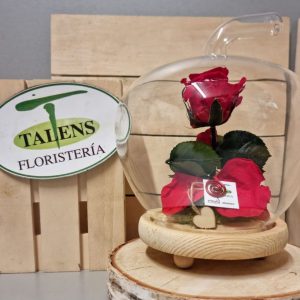 Urna manzana con rosa preservada